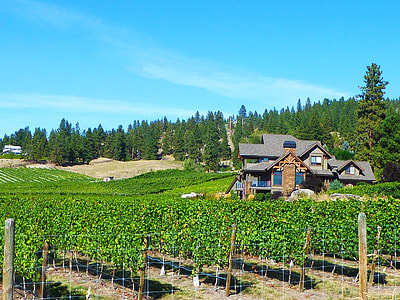 Wine Country, Bc Canada Wine Country thumbnail