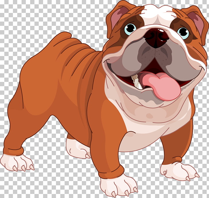 French Bulldog American Bulldog Alapaha Blue Blood Bulldog Puppy