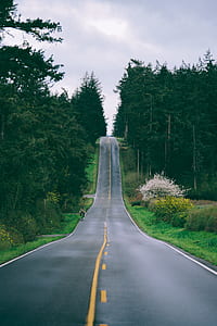 person riding bike on road thumbnail