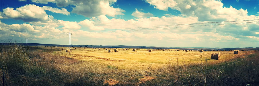 open filled with rolled hey under cloudy sky thumbnail