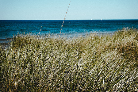 Lake Michigan thumbnail