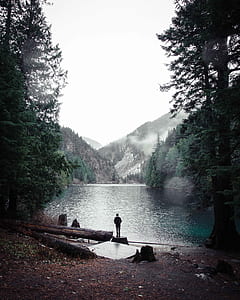 person standing facing on body of water near mountain full of trees thumbnail