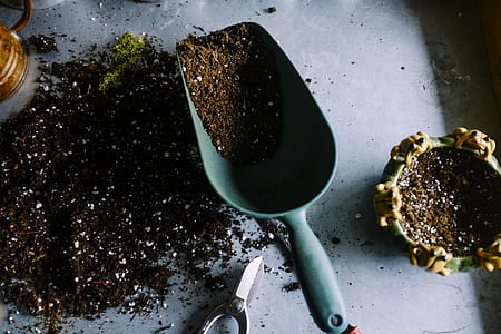black soil inside garden scoop thumbnail