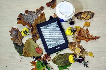 black Amazon Kindle e-book reader thumbnail