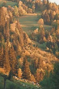 green and brown leaf trees painting thumbnail