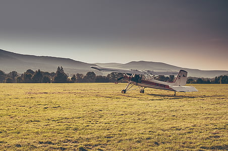 white biplane on grass field thumbnail