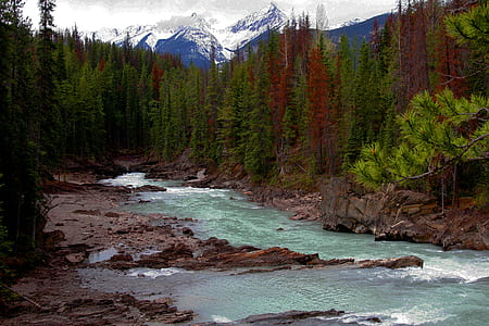 photo of river and forest thumbnail