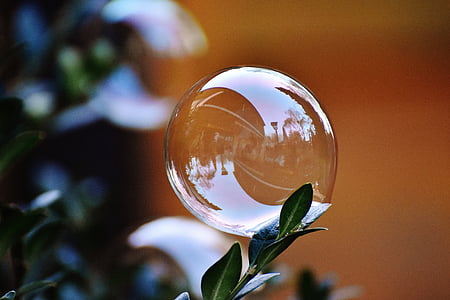 bubble on green leaf thumbnail