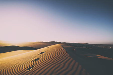 brown desert thumbnail