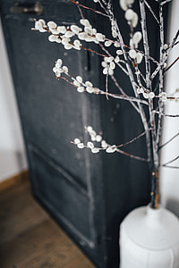 Contemporary interior with catkins thumbnail