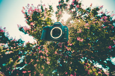 black Canon DLSR camera thumbnail