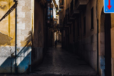 person walking on narrow building thumbnail