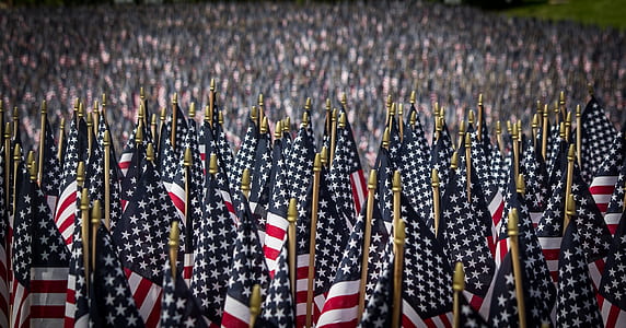 people raising US flags thumbnail