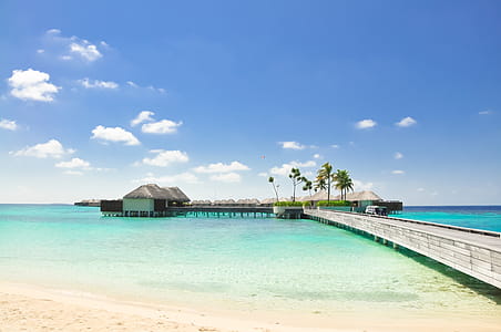 Brown Boat Dock Under Blue and White Skies thumbnail