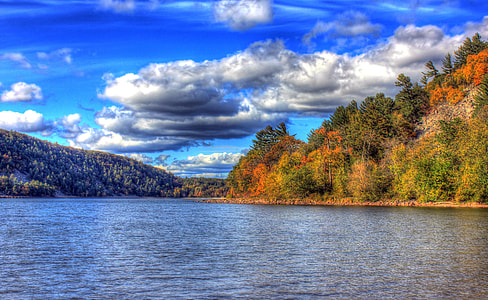 green trees surrounded by body of water thumbnail