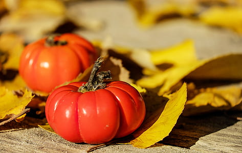 shallow focus photography of red tomato thumbnail