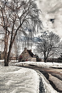 white house near trees thumbnail