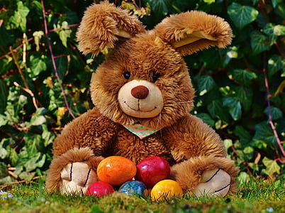 photo of brown teddy bear with Easter bunny egg thumbnail