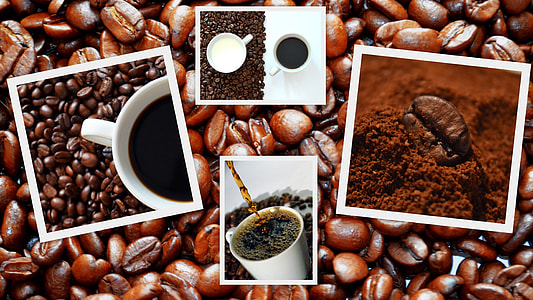 coffee beans and coffee cup collage photography thumbnail