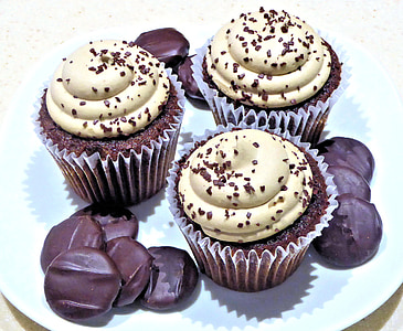 three chocolate cupcakes on ceramic plate thumbnail