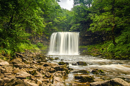 waterfalls surrounded by trees thumbnail