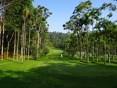 Golf Course with tropical trees in India thumbnail
