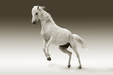 white horse statue thumbnail
