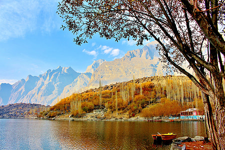 boat beside tall trees on body of water thumbnail