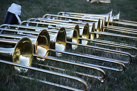 brass-colored trumpets aligned on green grass with blue and white water jug close-up photography thumbnail