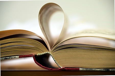 close-up photography of opened book thumbnail