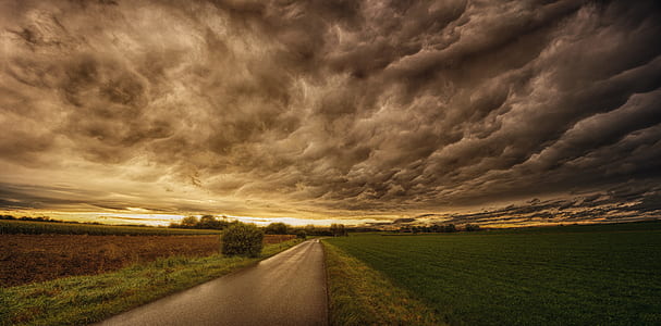 highway during daytime thumbnail