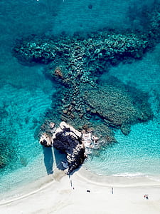 body of water and corals during daytome thumbnail