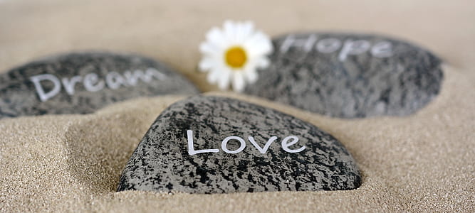 selective focus photography of black and gray Love-printed stone thumbnail