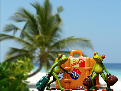 kermit the frog toy thumbnail