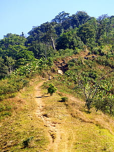 nature, forest, mountain, path thumbnail