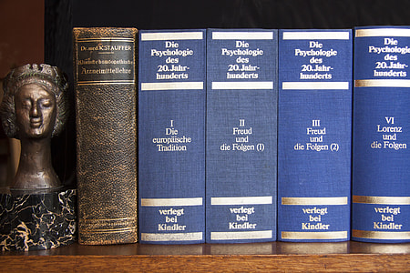 Die Psychologic des 20. jahr-hunderts books thumbnail