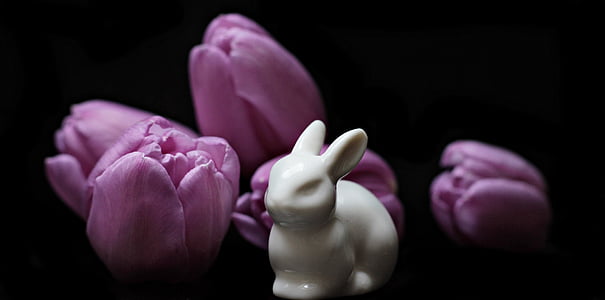 white ceramic rabbit figurine near purple tulip flowers on black platform thumbnail