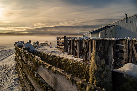 Brown Wooden Crates Under Gray Sky thumbnail