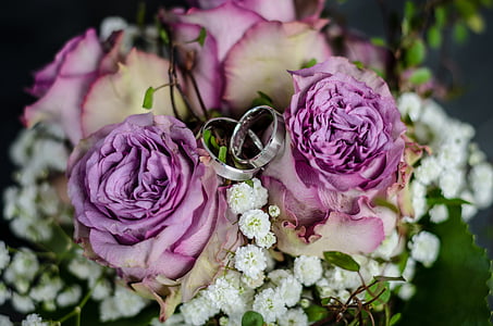 two silver-colored wedding bands in between purple roses thumbnail