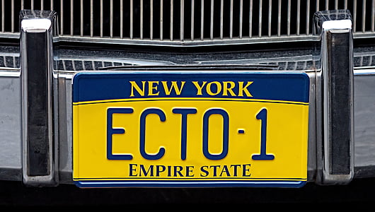 New York ECTO-1 Empire State license plate thumbnail