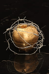 gold apple with barbed wires on black surface thumbnail