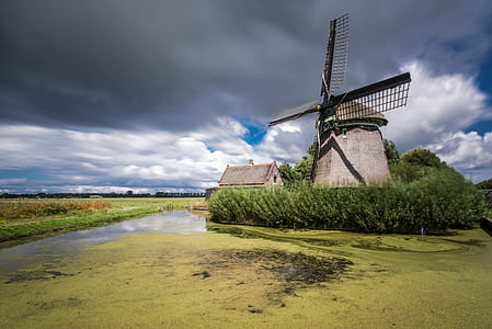gray windmill and green trees thumbnail