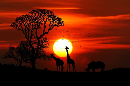 dawn, landscape, nature, sunset thumbnail