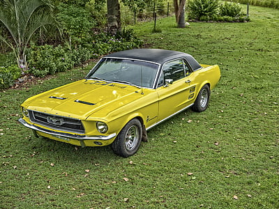 yellow Ford Mustang in grass field thumbnail