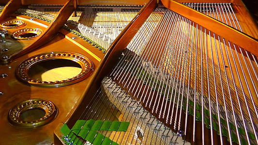 macro photography of brown string instrument thumbnail