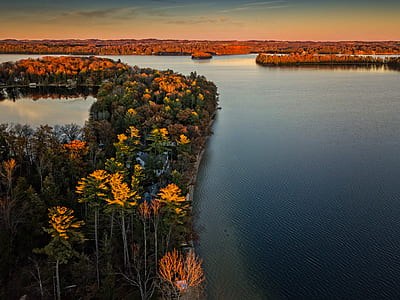 aerial view of body of water and trees thumbnail