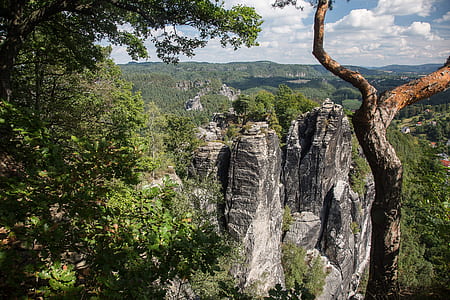 cliff with green leafed trees thumbnail
