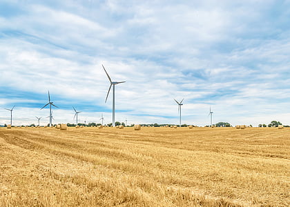 windmill on brown grass thumbnail
