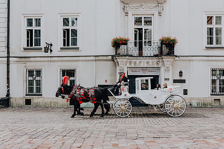 The magic of the first Polish Capital City, Cracow, Poland thumbnail