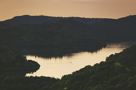 High-angle Photo of Lake Surrounded by Trees thumbnail